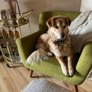 Meet your Posher, James